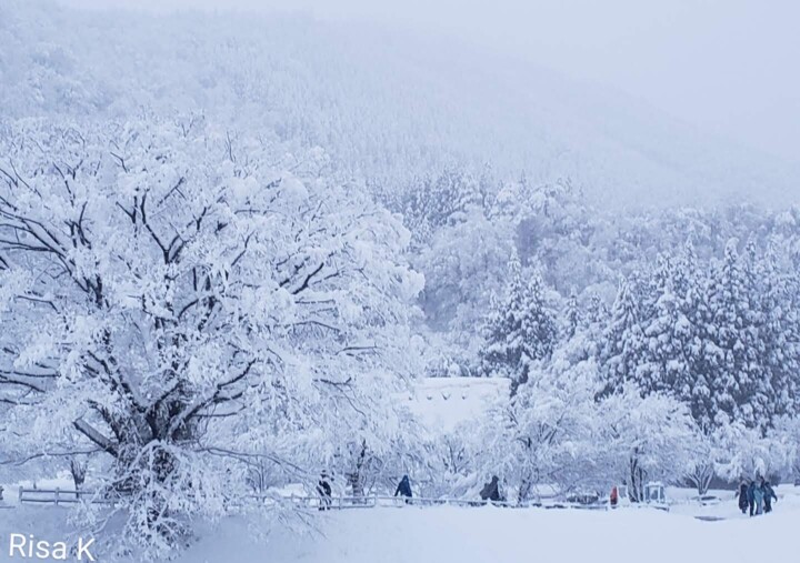 Photographie intitulée "白川郷" par Risa Kitamura, Œuvre d'art originale, Photographie numérique