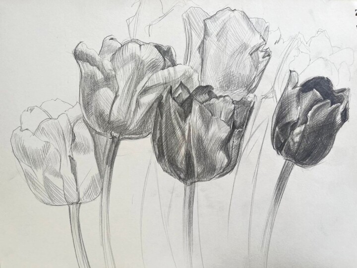 Schilderij getiteld "Tulips graphics" door Natal A Hudakova, Origineel Kunstwerk, Potlood