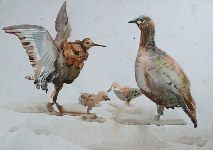partridges Pittura, 15,8x11,8 in