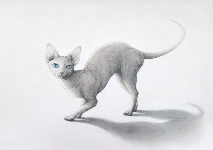 Cat 图画, 11.7x16.5 in