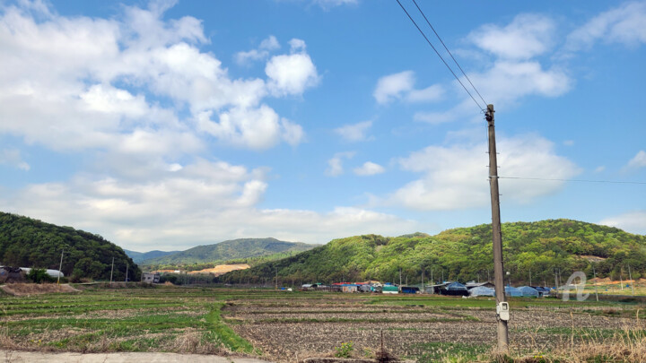 Wired Stillness in Spring 摄影
