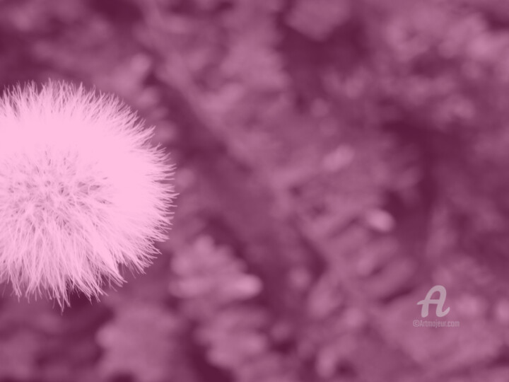 Abstract pink tail shooted along natural background 摄影