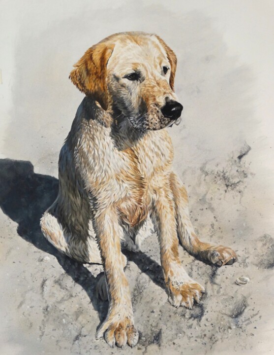 Malerei mit dem Titel "Yellow Labrador Bra…" von Julian Wheat, Original-Kunstwerk, Acryl