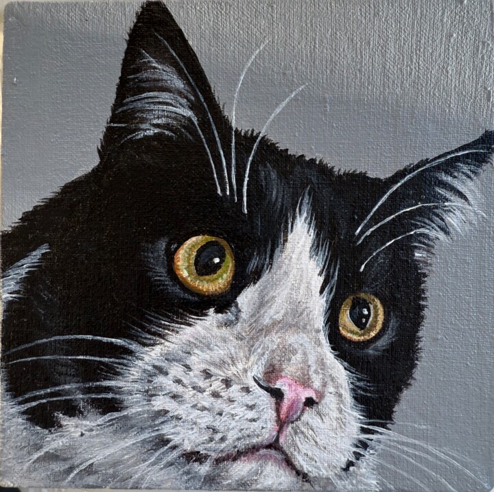 绘画 标题为“black and white cat…” 由Antonina Pavlic, 原创艺术品, 丙烯