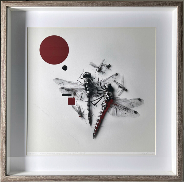 Work presented framed