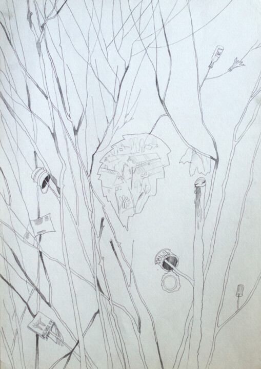 ecology Desenho, 15,8x11,8 in
