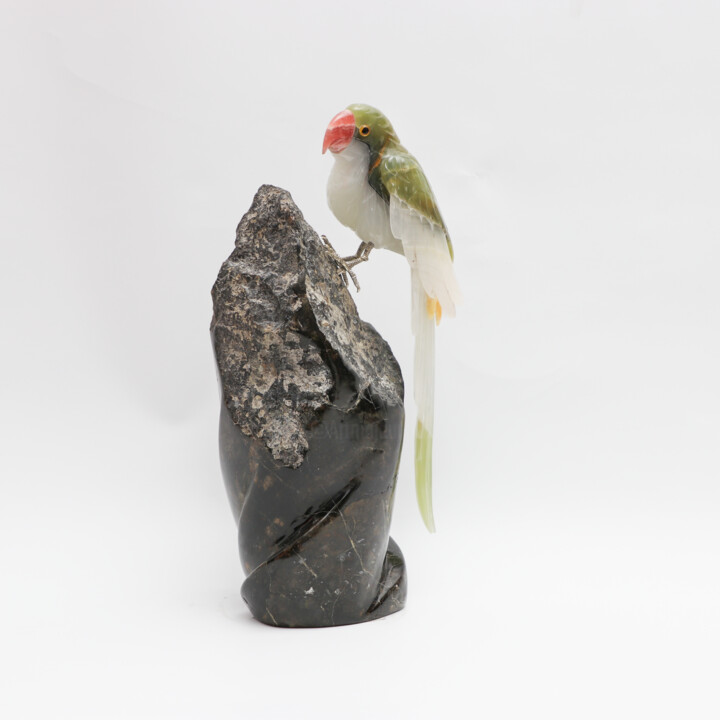 COTORRA Heykel, 14,6x8,7 in