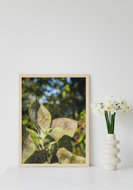 Werk ingelijst gepresenteerd