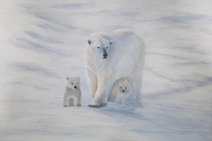 Polar Bear Mother 绘画, 11.7x16.5 in