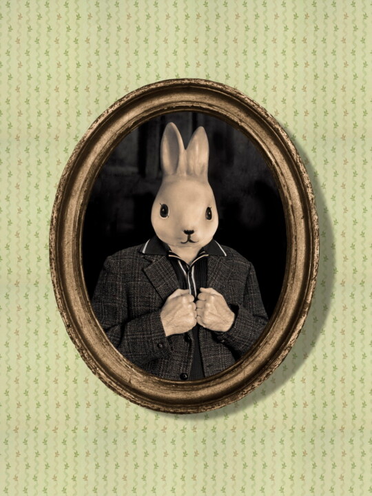 Фотография под названием "Lapin malin" - Hervé Gergaud, Подлинное произведение искусства, Манипулированная фотография