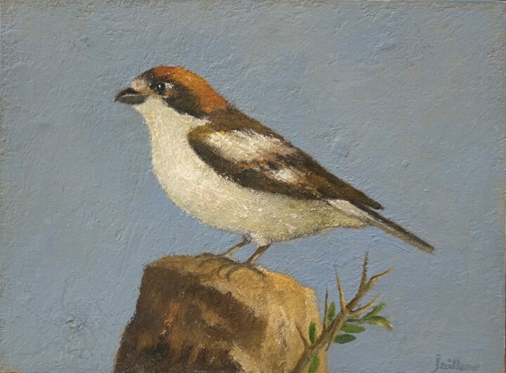 Pájaro 绘画, 5.7x7.7 in