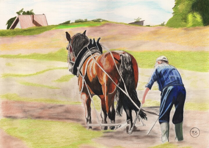 Le labour à l’ancienne. Rysunek, 11x15,8 in