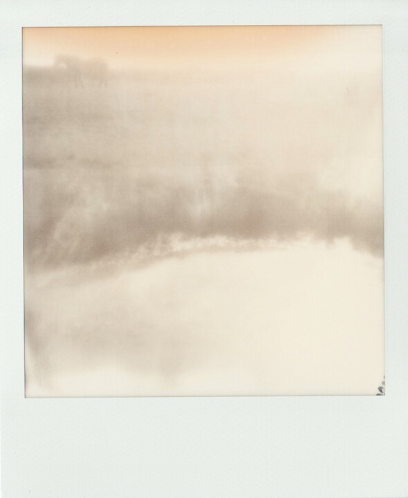 Songerie 摄影, 4.3x3.5 in
