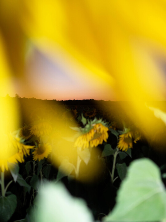 Arc-en-Sol Fotografia, 23,6x17,7 in