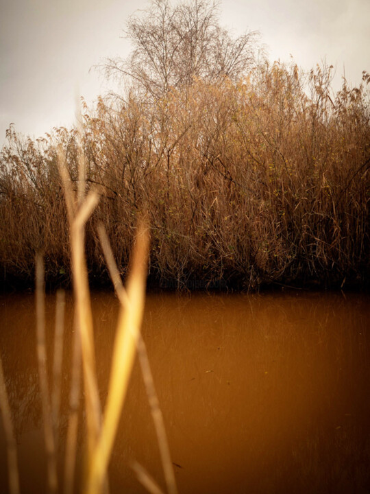 Photography titled "Psyché" by Emmanuelle Benjamin, Original Artwork, Digital Photography Mounted on Plexiglass