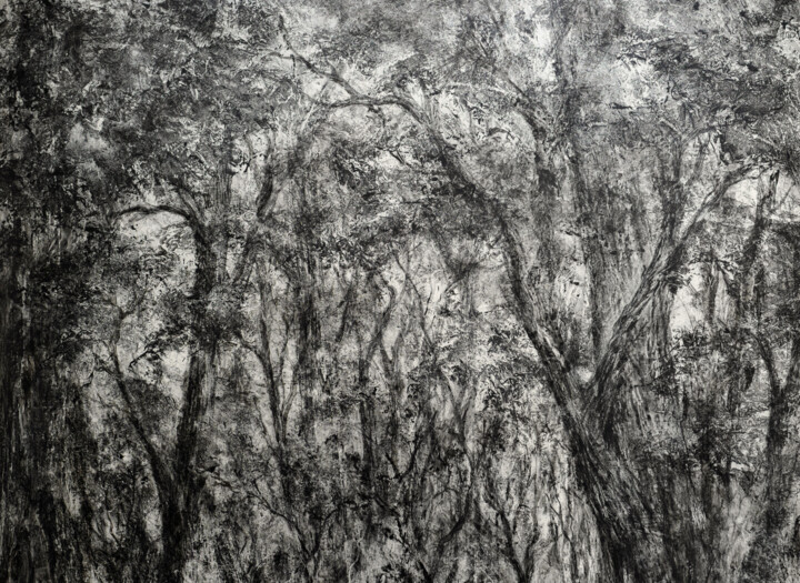 Рисунок,  14,2x19,7 in 