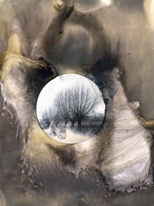 Photography titled "Les Eaux-Forets" by Clément Marion, Original Artwork, Paper
