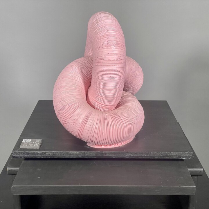 PINK TUBULAR KNOT Скульптура, 15,8x18,5 in