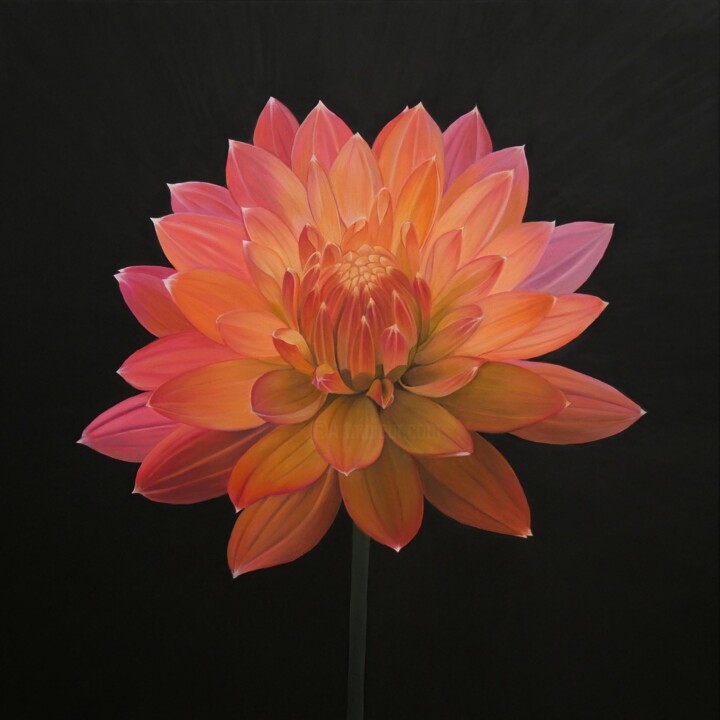 Painting titled "Dahlia 07" by Odile Faure, Original Artwork, Oil