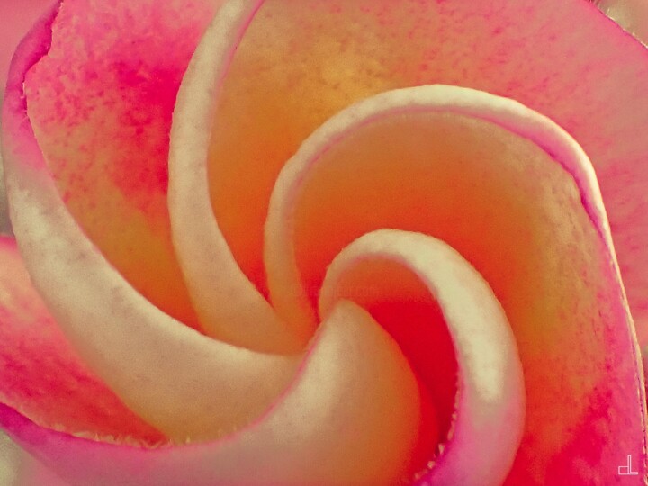 Printmaking titled "La spirale" by Christian Lefevre, Original Artwork, Aluminium
