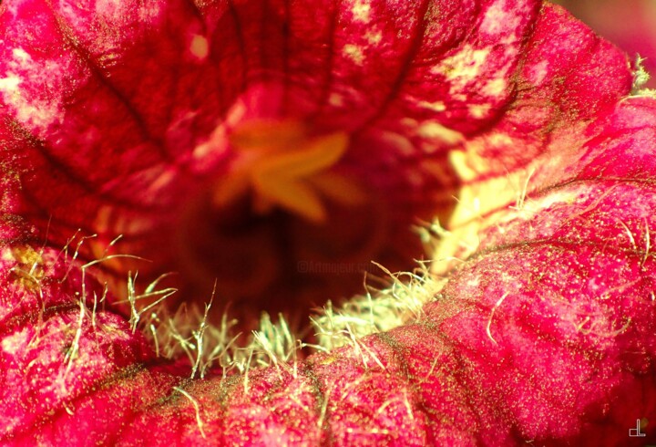 Photography titled "The hole" by Christian Lefevre, Original Artwork, Aluminium