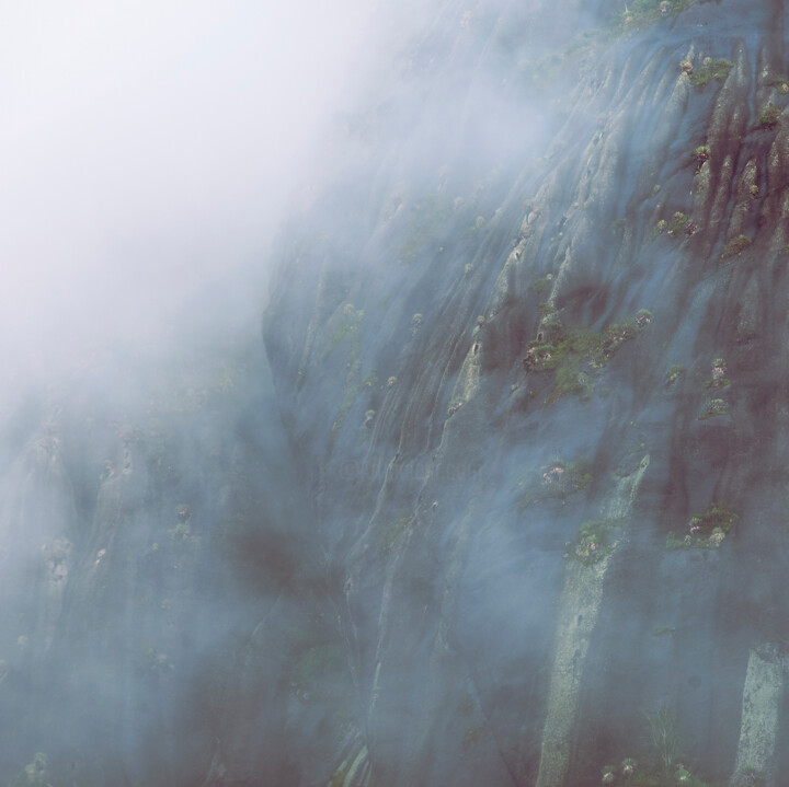 Photography titled "Lúcida #12" by Emma Charrin, Original Artwork, Digital Print