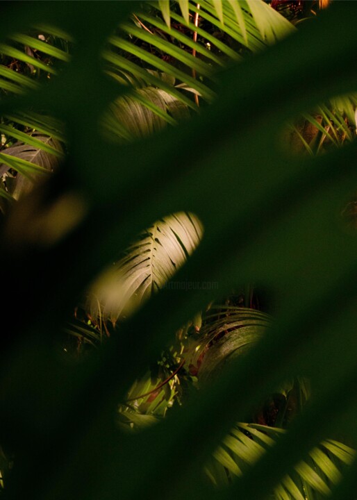 Photographie intitulée "Respirons" par Théo Antonin, Œuvre d'art originale, Papier