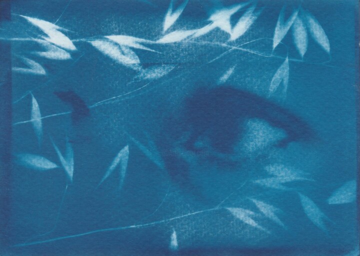 Printmaking titled "Oeil champs 2" by Céline Foussadier, Original Artwork, Digital Print