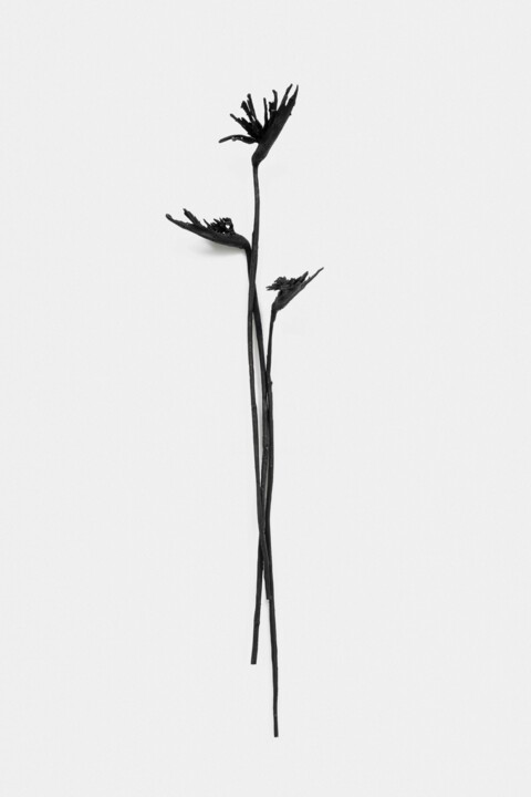 Sculpture titled "Oiseau du paradis" by Mehdi-Georges  Lahlou, Original Artwork, Bronze