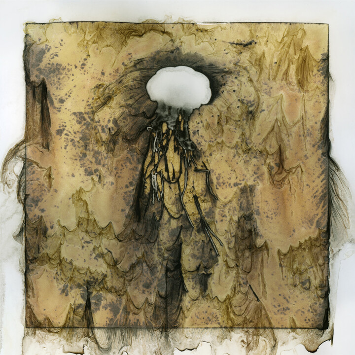 Photography titled "Méduse 003" by Clément Marion, Original Artwork, Digital Print