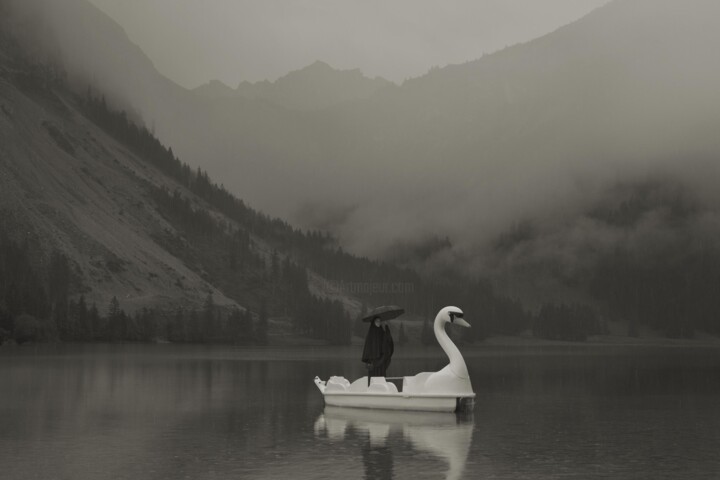 Photography titled "Im Wald Der Schwan" by Erwin Olaf, Original Artwork