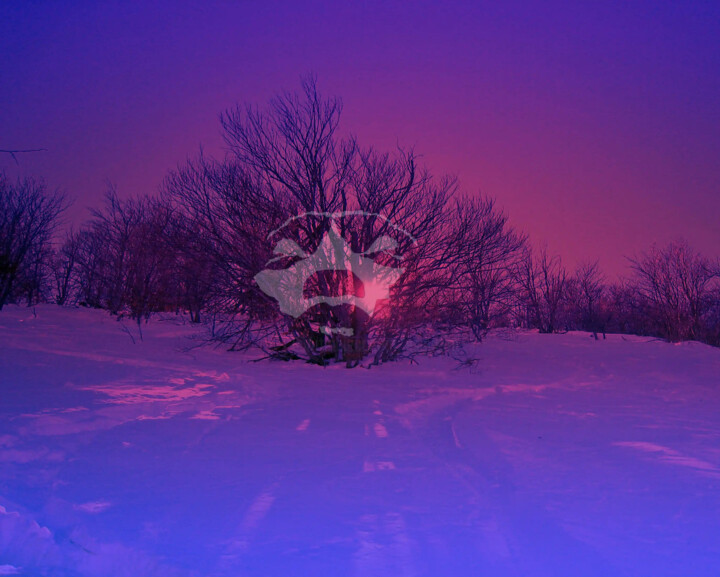 Digital Arts titled "RÊVE" by Gérard Esquerre, Original Artwork, Digital Print