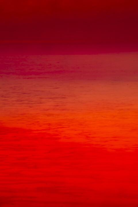 Photography titled "ABSTRACTION # 20 RO…" by Dominique Cahier, Original Artwork, Paper