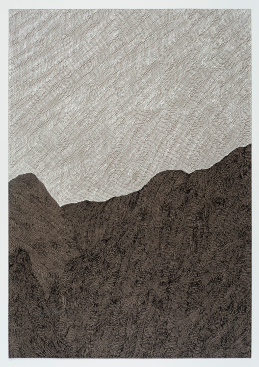 图画,  43.3x29.5 in 