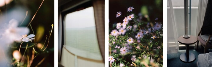 Photography titled "Vision anémone tran…" by Julia Genet, Original Artwork, Analog photography