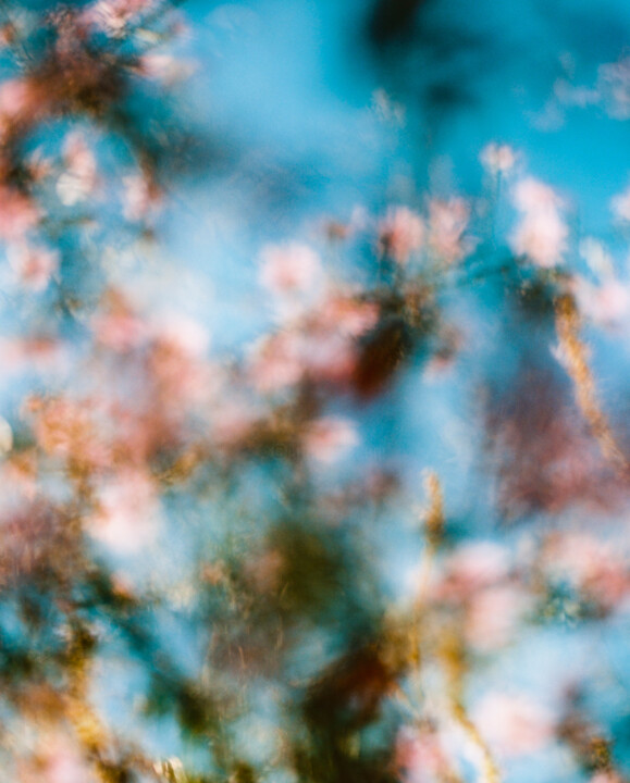 Fotoğraf,  31,5x25,2 in 