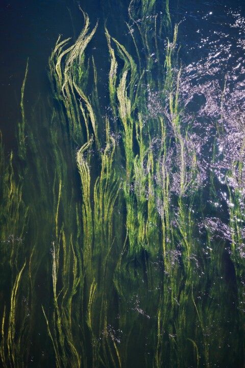 Photography titled "CUTS-Mermaid strands" by Olivier Cuvelette, Original Artwork, Digital Print