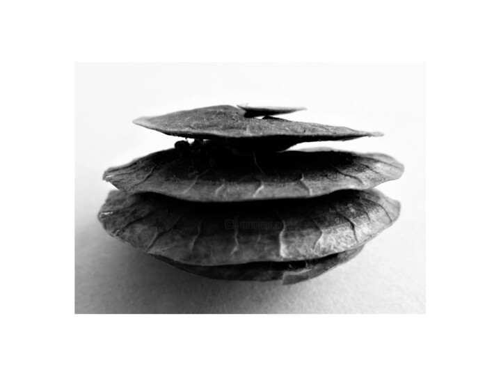 Photography titled "8 - ARCHITECTURE -…" by Eric Gizard, Original Artwork, Analog Print