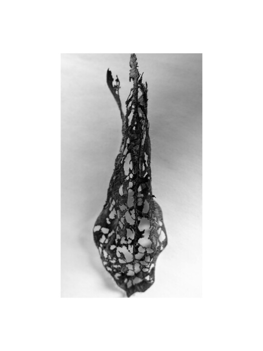 Printmaking titled "12 - POISSON FISH" by Eric Gizard, Original Artwork, Analog Print
