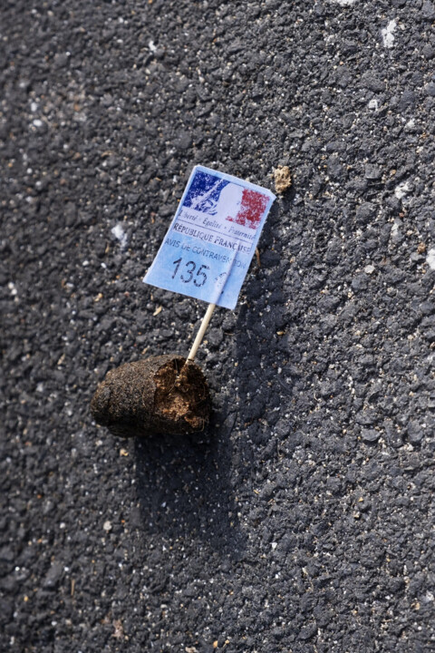 Photography titled "Hommage à un artist…" by Laetitia Danglade, Original Artwork