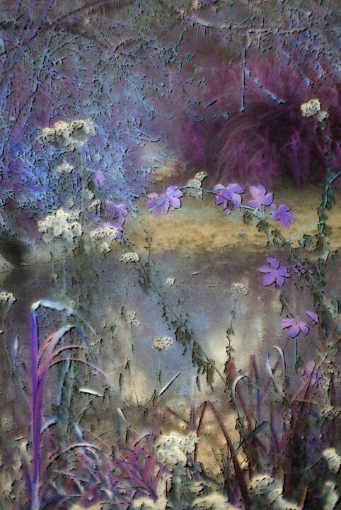 Digital Arts titled "Un jardin extraordi…" by Michel Guillaumeau, Original Artwork, Paper
