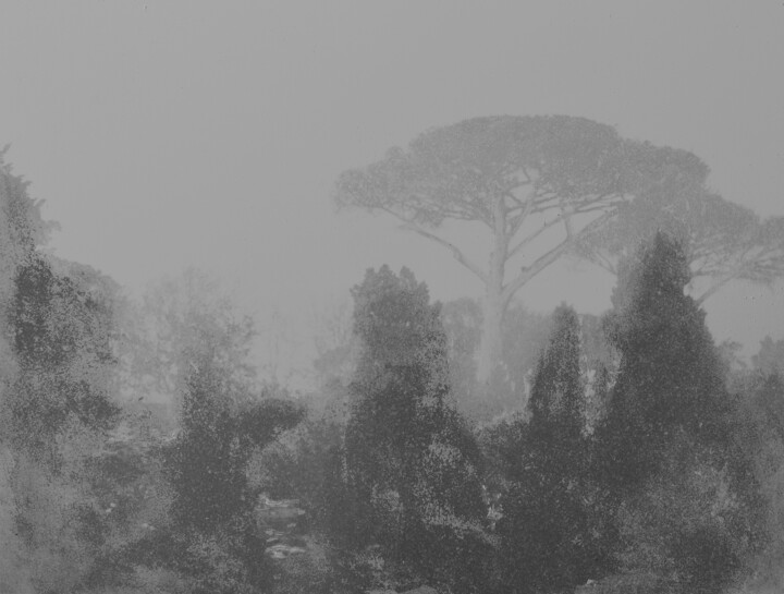 Veduta del Monte Vesuvio 3 摄影, 10.4x13.8 in