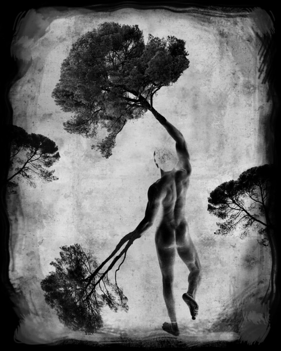 homme-arbre-4 Photography, 27.6x19.7 in