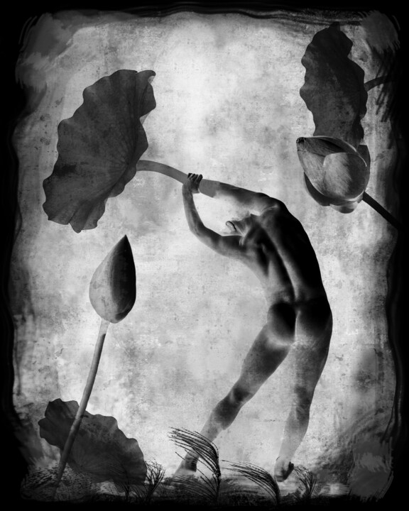 Photography titled "homme-fleur-lotus" by Daniel Nassoy, Original Artwork, Digital Print