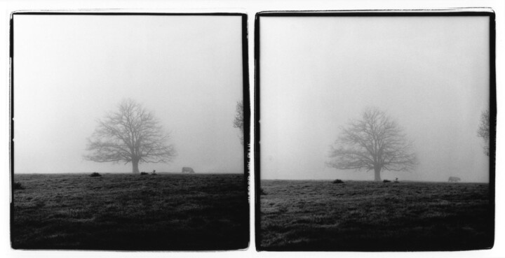 Photography titled "Série Paysages du B…" by Johannes Von Saurma, Original Artwork, Paper