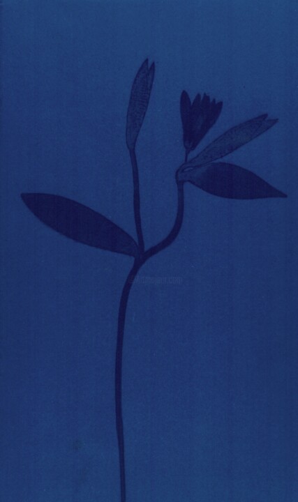 Photographie intitulée "EMPREINTE" par Camille  Vignaud, Œuvre d'art originale, Photographie argentique