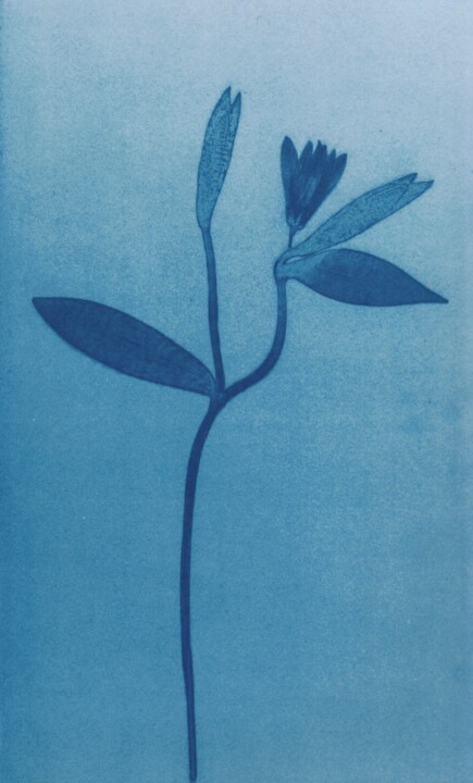 Photography titled "EMPREINTE #2" by Camille  Vignaud, Original Artwork, Analog photography