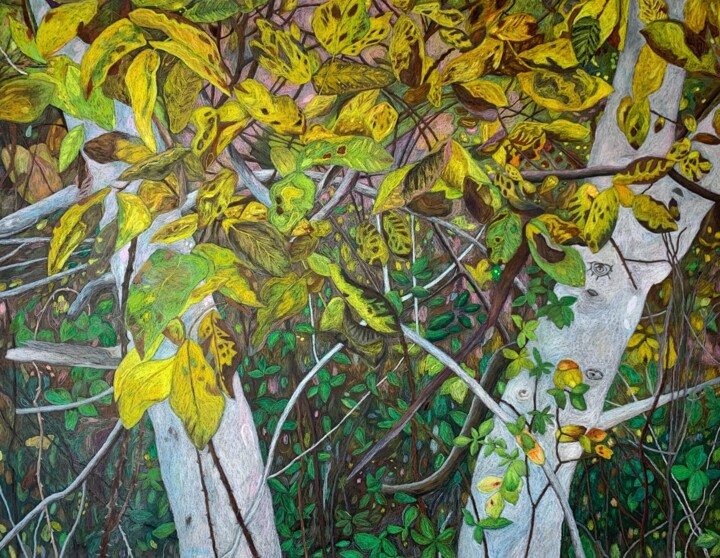 Drawing titled "Noyer d'Accotement" by Ross Gash, Original Artwork, Pastel Mounted on Cardboard