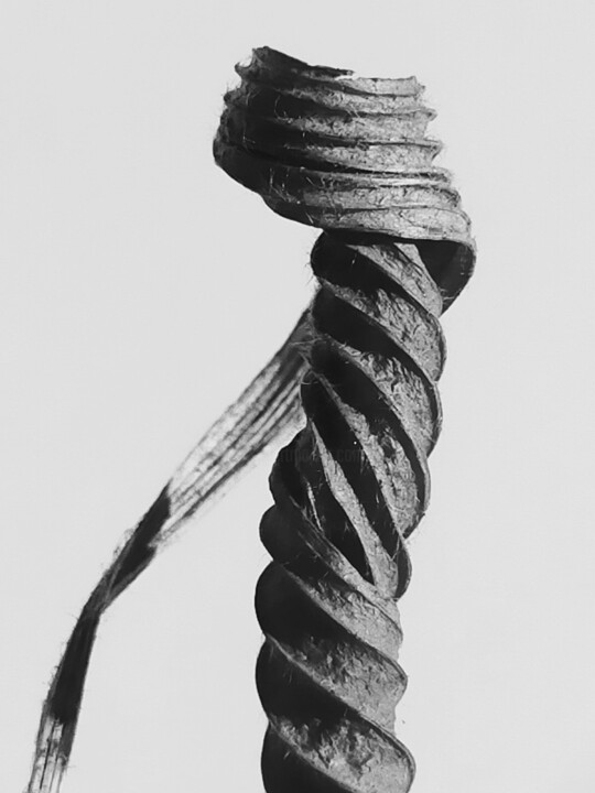 Photography titled "VIS. SCREW" by Eric Gizard, Original Artwork, Paper