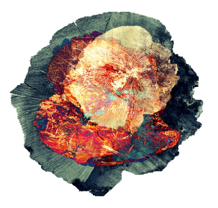 Digital Arts titled "Murmure de géant #01" by Corinne Bresson, Original Artwork, Digital Print